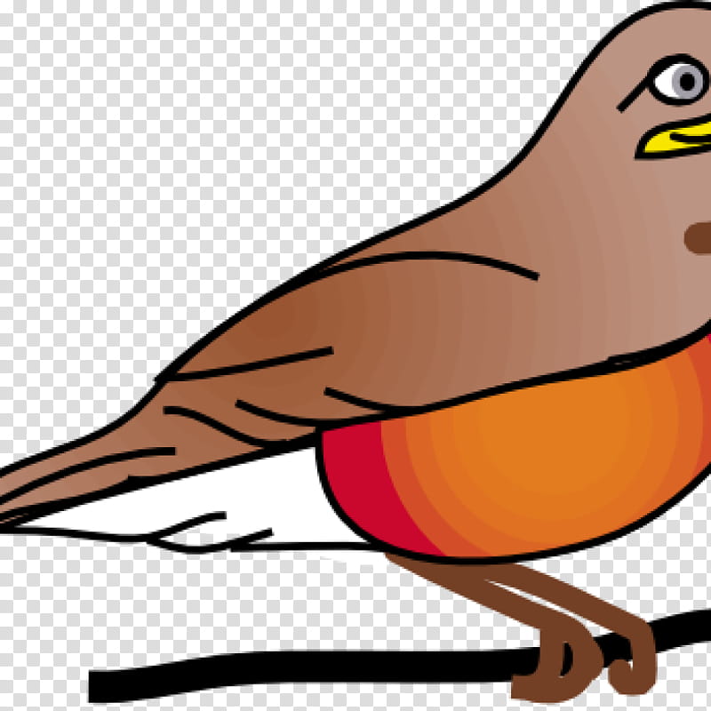 Robin Bird, American Robin, European Robin, Ifwe, Beak, Wing, Line, Tail transparent background PNG clipart