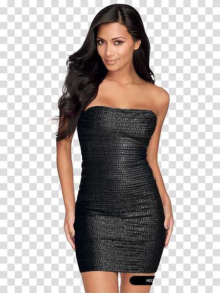 Nicole Scherzinger transparent background PNG clipart | HiClipart