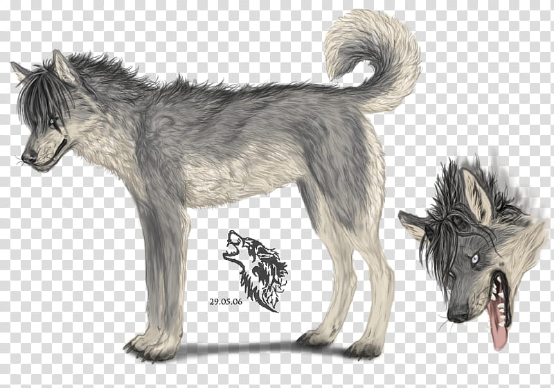 No name yet, gray coyote illustration transparent background PNG clipart