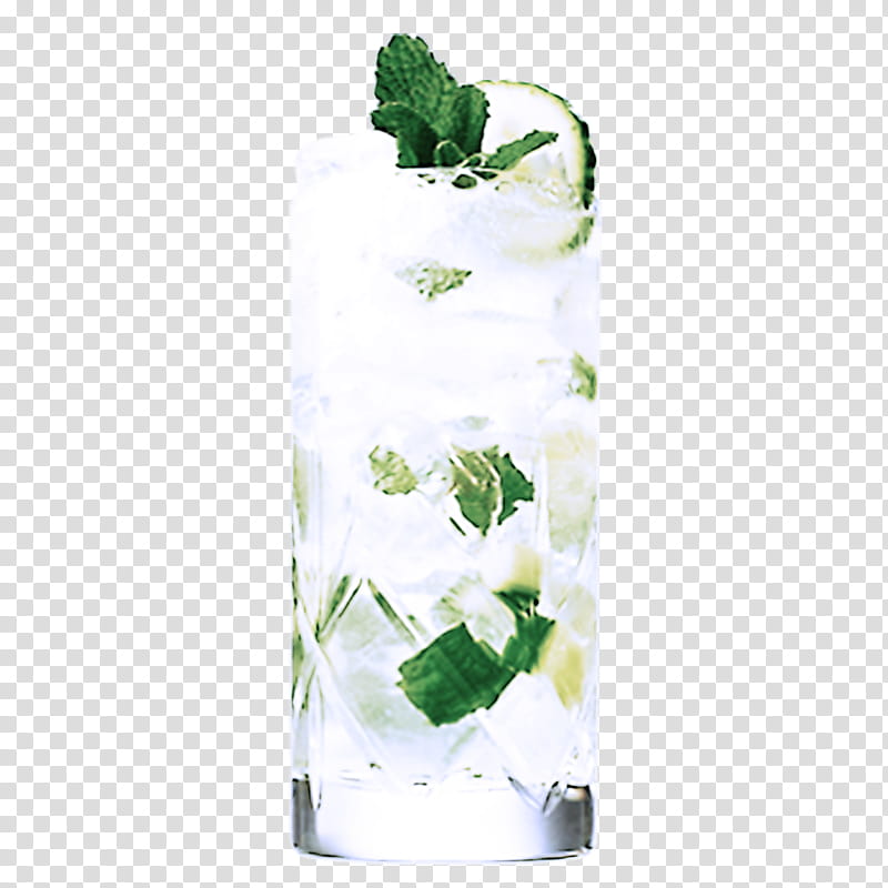 Ivy, Green, Highball Glass, Plant, Mojito, Flower, Rectangle transparent background PNG clipart