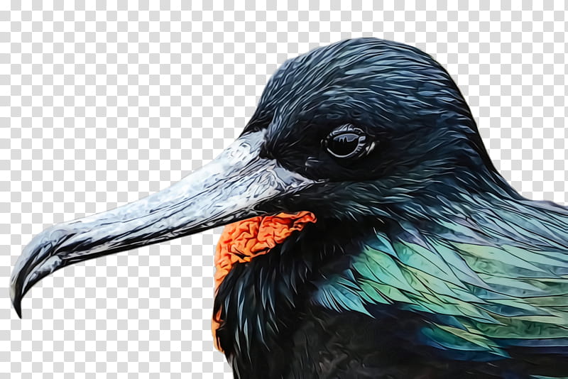 bird beak raven raven crow, Watercolor, Paint, Wet Ink, Crowlike Bird, Blackbird, Rook transparent background PNG clipart