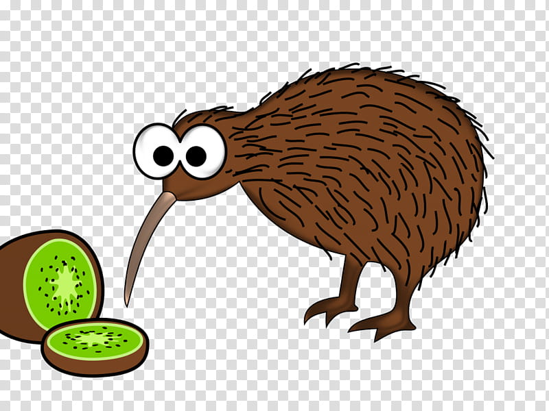 Kiwi Bird, New Zealand, New Zealand Kiwi, Flightless Bird, Drawing, Cartoon, Ostrich, Beak, Porcupine, Ratite transparent background PNG clipart