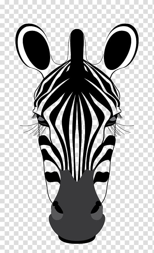 Zebra, Snout, Black And White
, Head transparent background PNG clipart