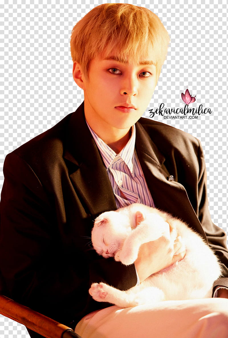 EXO CBX Xiumin Blooming Days, man in black coat holding white cat transparent background PNG clipart