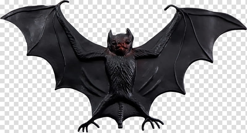 Halloween, black bat on blue background transparent background PNG clipart