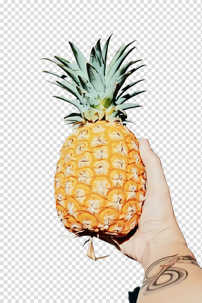 Pineapple, Watercolor, Paint, Wet Ink, Ananas, Fruit, Food, Natural Foods transparent background PNG clipart