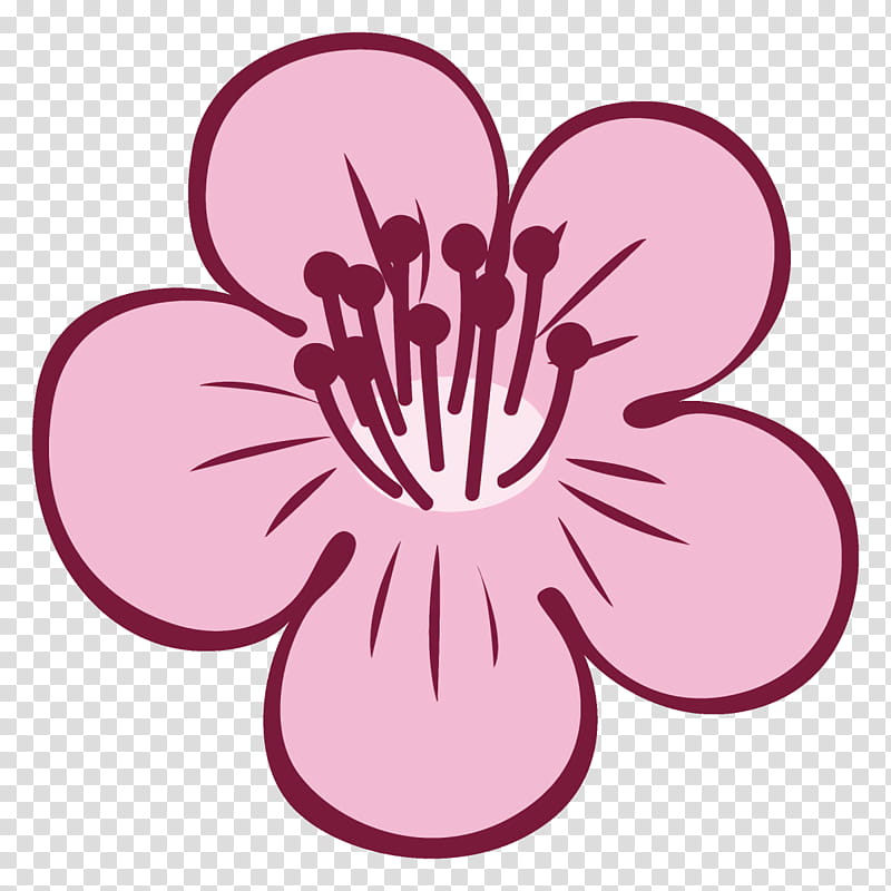 plum blossoms plum winter flower, Pink, Petal, Magenta, Plant, Cherry Blossom, Hibiscus transparent background PNG clipart