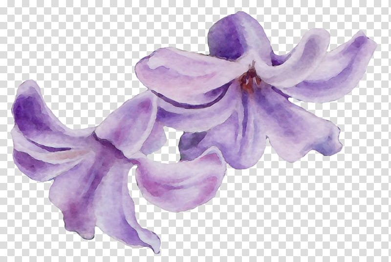 Lavender, Watercolor, Paint, Wet Ink, Violet, Purple, Lilac, Flower transparent background PNG clipart