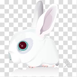 Chinese Zodiac icon set, rabbit, white rabbit illustration transparent background PNG clipart