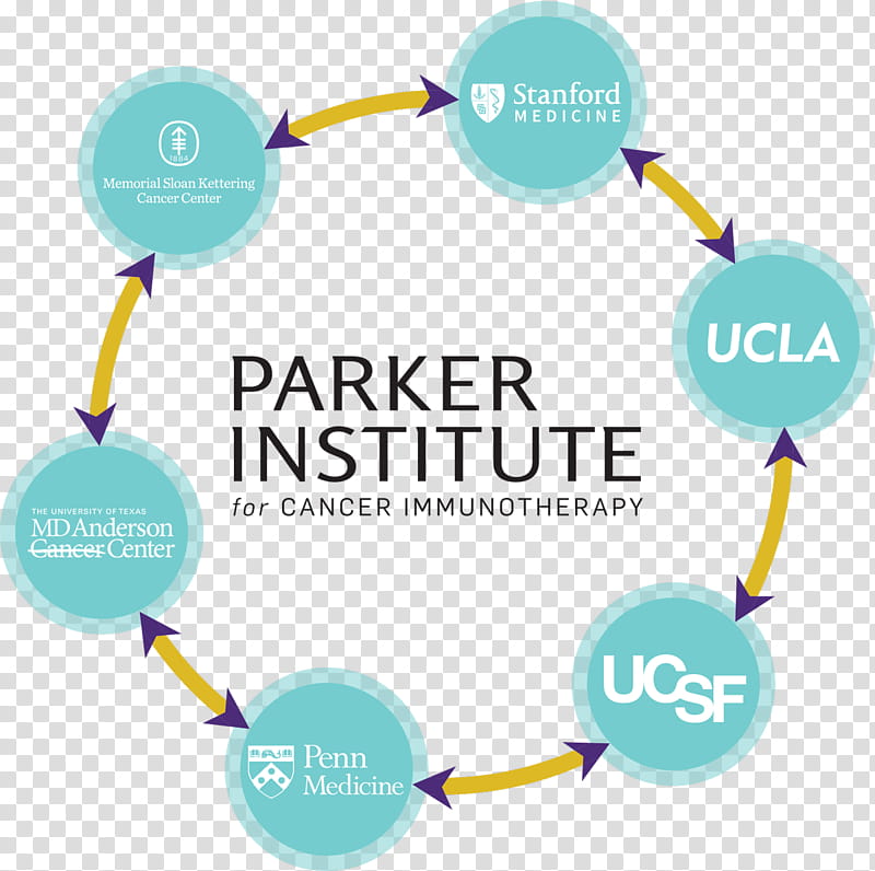 Circle Design, Logo, University Of California Los Angeles, Lead Generation, University Of California San Francisco, Blue, Text, Line transparent background PNG clipart