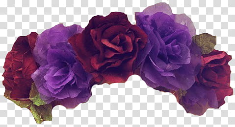 Flower Crowns S, purple and red flowers transparent background PNG clipart