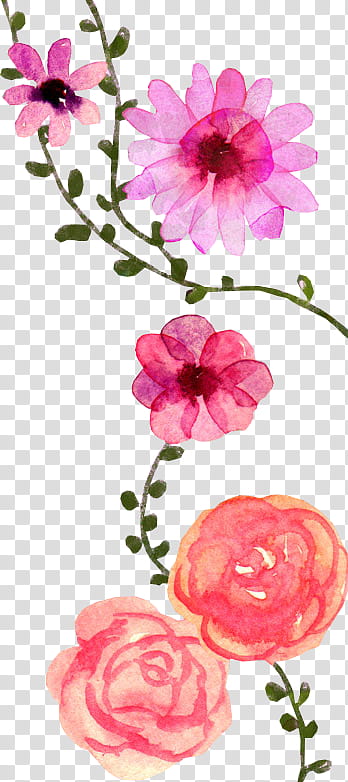 The scent of spring, pink petal flower illustration transparent background PNG clipart