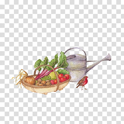 Harvest, variety of vegetables on basket with watering can and bird illustration transparent background PNG clipart