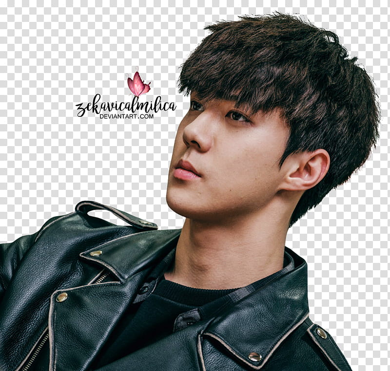 EXO Sehun Dokgo Rewind, men's black jacket transparent background PNG clipart