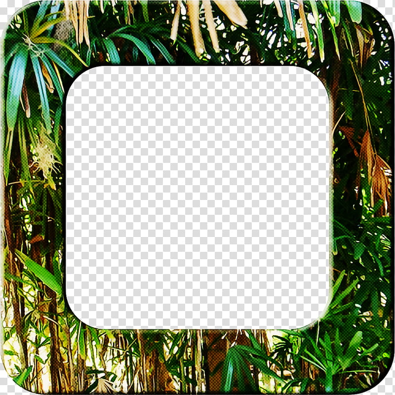 Background Green Frame, Tropics, Frames, Tropical Rainforest, Plants, Jungle, Tropical Vegetation, Rectangle transparent background PNG clipart