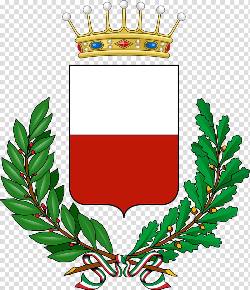 Cartoon Crown, Fiume Veneto, Treviso, Province Of Asti, Naples, Buttigliera Alta, Rome, Fiumicino transparent background PNG clipart