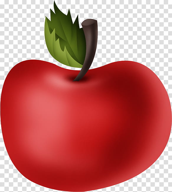 Apple Tree Drawing, Tomato, Computer, Macintosh Ii, App Store, MacOS, Imac, Fruit transparent background PNG clipart