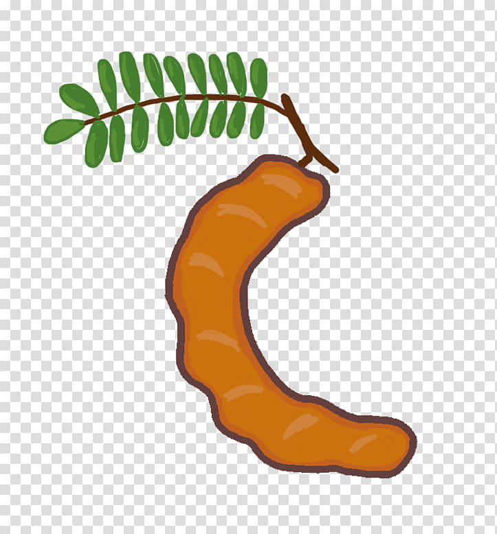 Carrot, Tamarind, Cartoon, Language, Number, Thumb, Tampon, Project transparent background PNG clipart