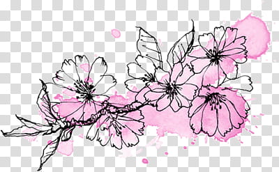 Pink Secret Garden Library transparent background PNG clipart