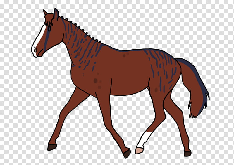 Horse, Appaloosa, American Paint Horse, American Quarter Horse, Foal, Arabian Horse, Breyer Animal Creations, Model Horse transparent background PNG clipart