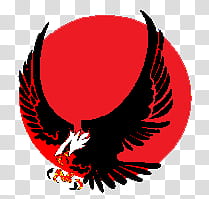 Skystriker logo, black eagle painting transparent background PNG clipart