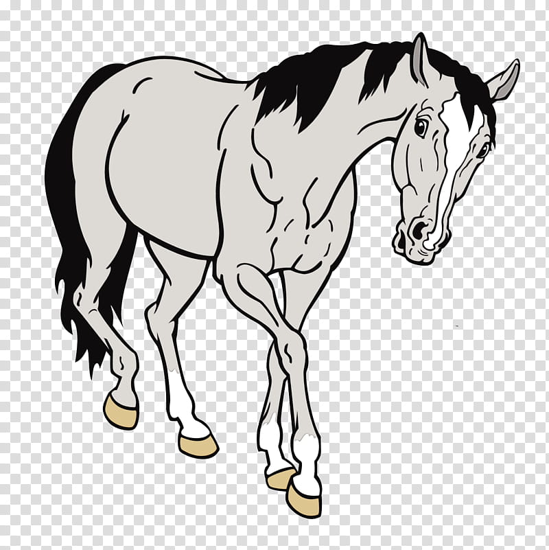 Horse, Animal, Draft Horse, Hair, Mane, Line Art, Animal Figure, Mare transparent background PNG clipart