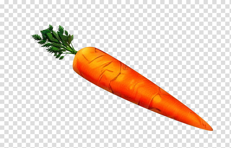 Cartoon Baby, Carrot, Vegetable, Greens, Painting, Lettuce, Euroflora, Pumpkin transparent background PNG clipart