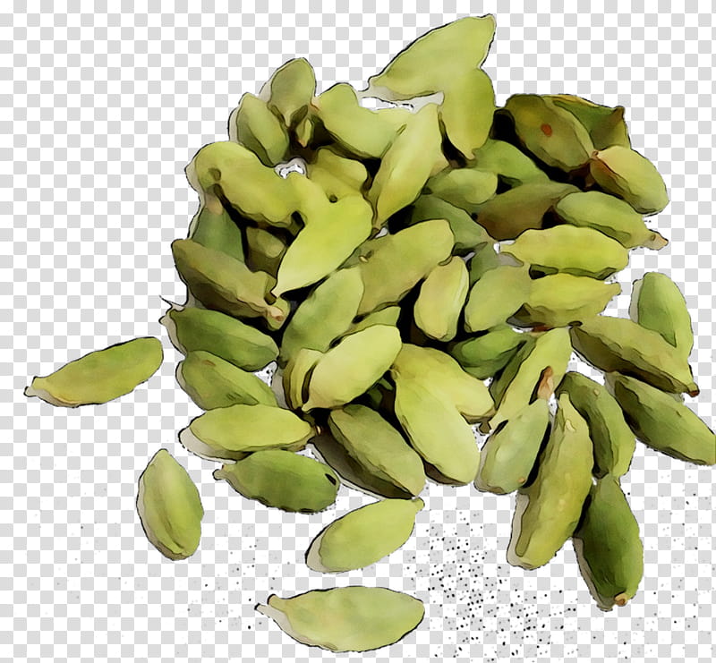Cartoon Pumpkin, Lima Bean, Commodity, Food, Plant, Pumpkin Seed, Ingredient, Cardamom transparent background PNG clipart