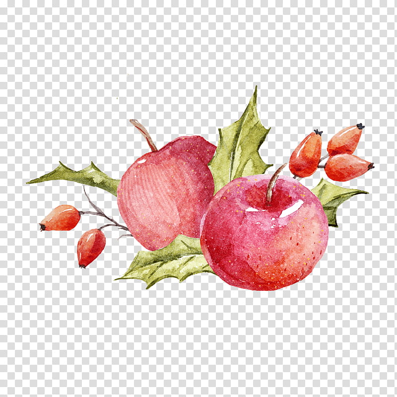Watercolor Flower, Watercolor Painting, Apple, Fruit, Food, Pomegranate, Natural Foods, Plant transparent background PNG clipart