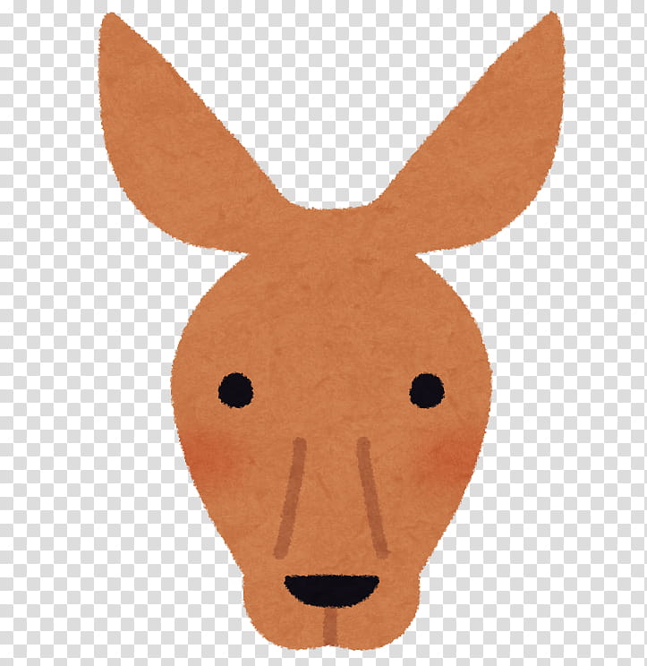 Kangaroo, Snout, Macropods, Face, Nose, Head, Animal, Cheek transparent background PNG clipart