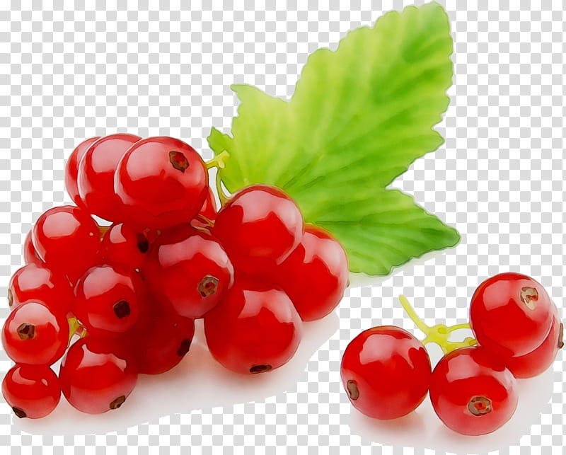 Fruit, Gooseberry, Zante Currant, Lingonberry, Cranberry, Raspberry, Pink Peppercorn, Berries transparent background PNG clipart