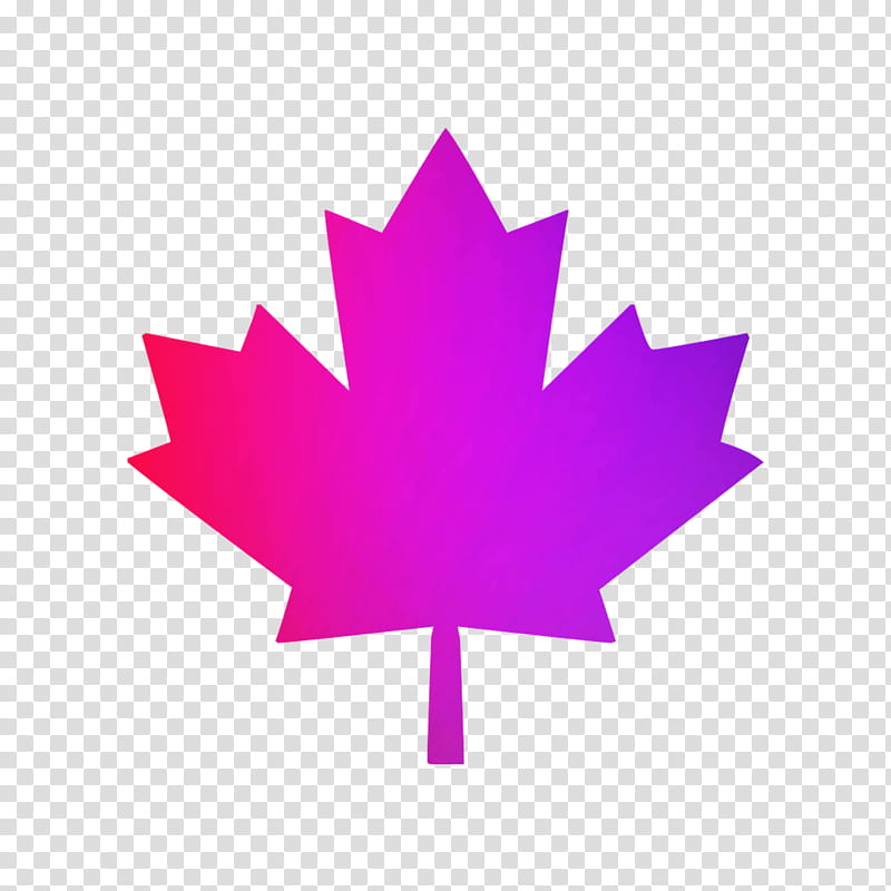 Canada Maple Leaf, Canada Day, SweatShirt, Flag Of Canada, Canada Flag T Shirt, National Flag, National Flag Of Canada Day, Mari Usque Ad Mare transparent background PNG clipart