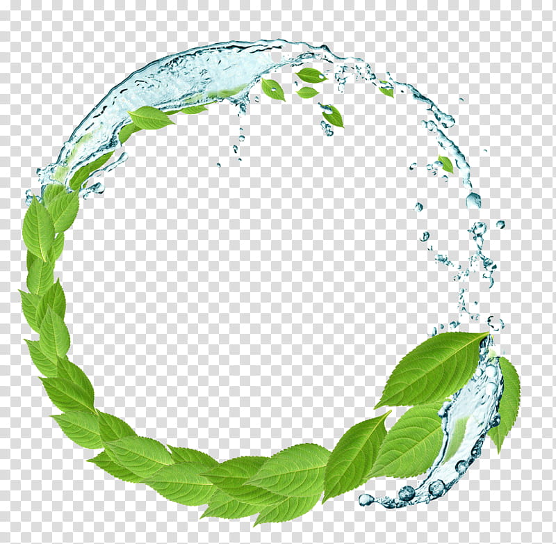 Green Grass, Water, Featurepics, Alamy, Panorama, Leaf, Tree, Circle transparent background PNG clipart