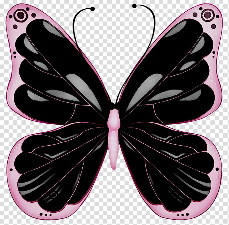 Light Blue, Butterfly, Glasswing Butterfly, Pink, Monarch Butterfly, Light, Black, Color transparent background PNG clipart