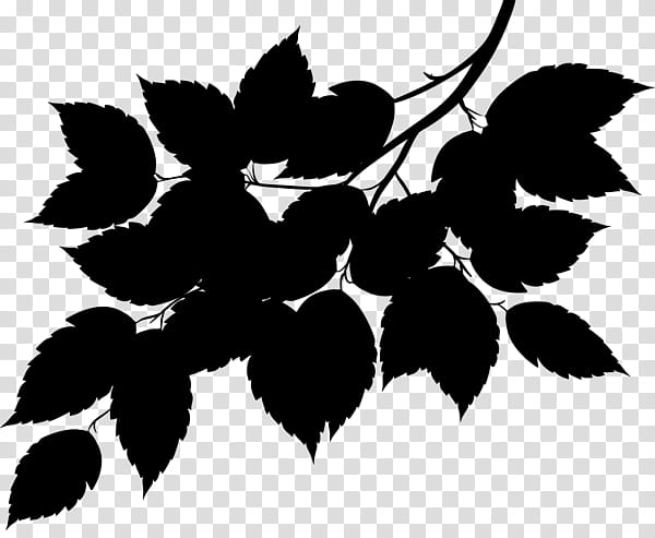 Tree Leaves, M 0d, Flower, Fruit, Silhouette, Leaf, Plant, Blackandwhite transparent background PNG clipart