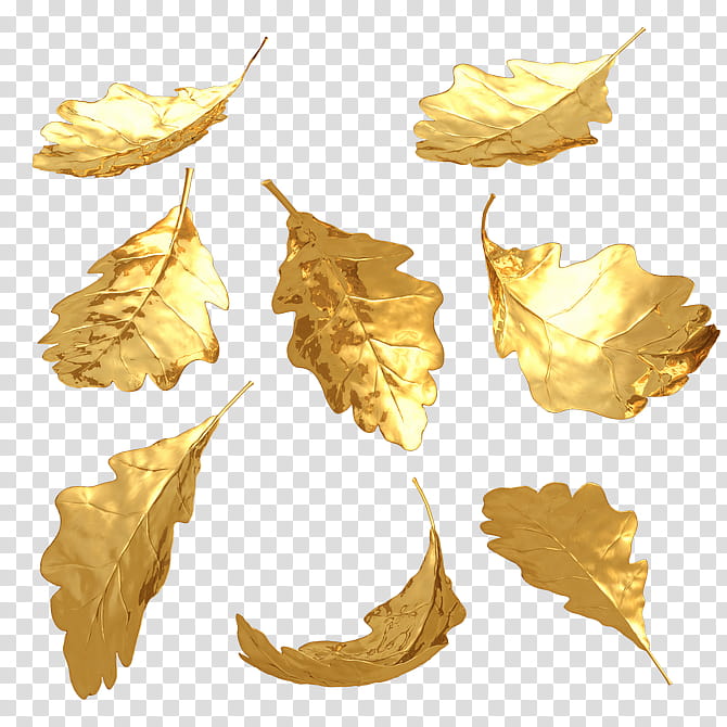 Cartoon Gold Medal, Gold Leaf, Gilding, Metal Leaf, Tree, Maple Leaf, Plane, Black Maple transparent background PNG clipart