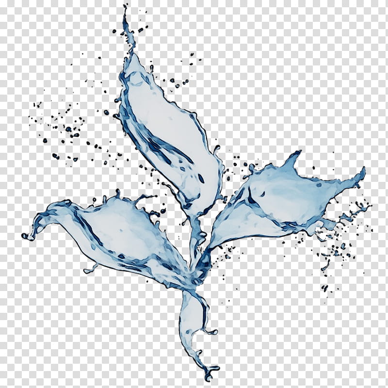 Water, Dolphin, Whales Dolphins, Computer Software, Computeraided Design, 2018, Architecture, Line Art transparent background PNG clipart