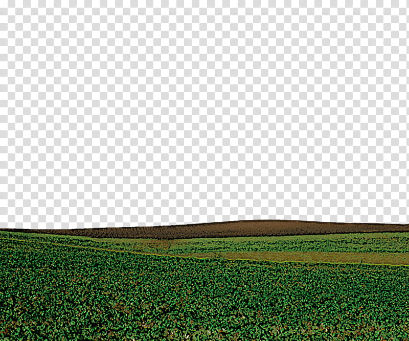 field green grassland grass natural environment, Field, Plain, Land Lot, Prairie, Grass Family, Farm transparent background PNG clipart