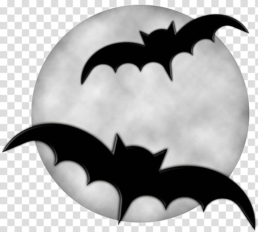 Halloween , two black bats with moon background transparent background PNG clipart