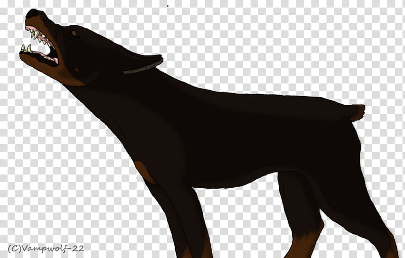 Dog Drawing, Dobermann, Miniature Pinscher, German Pinscher, Rottweiler, Manchester Terrier, Digital Art, Bark transparent background PNG clipart