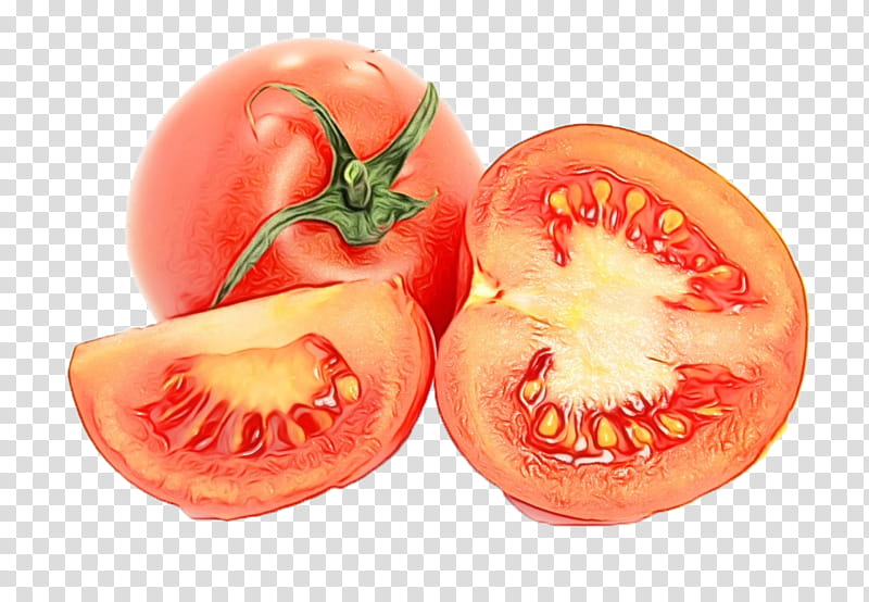 Tomato, Watercolor, Paint, Wet Ink, Solanum, Fruit, Vegetable, Plum Tomato transparent background PNG clipart