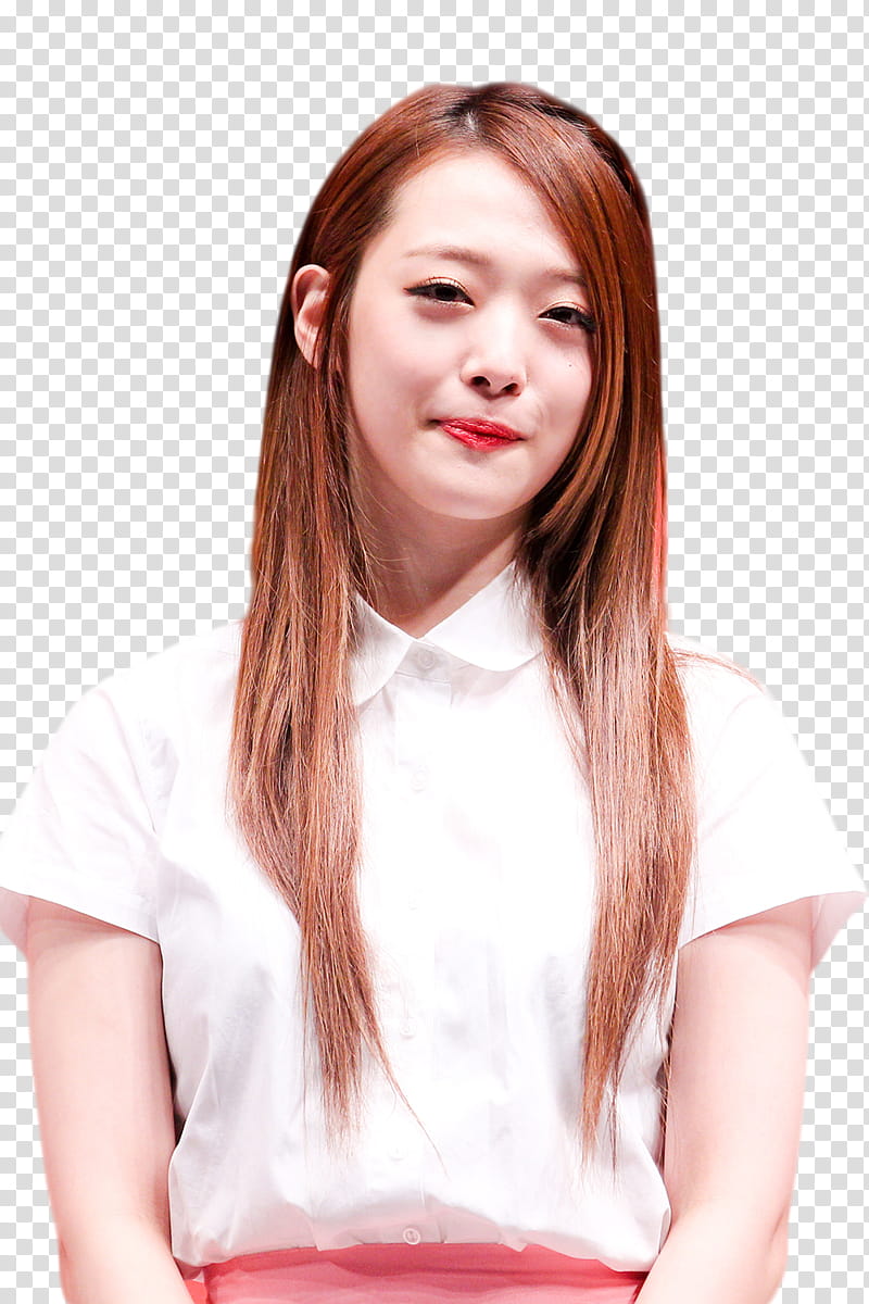 Sulli transparent background PNG clipart