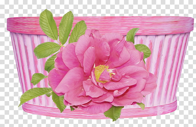Pink Flower, Cut Flowers, Pink M, Petal, Flowerpot, Plant, Rose, Peony transparent background PNG clipart