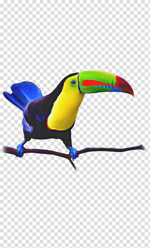 Hornbill Bird, Toucan, Beak, Painting, Roof, Wall, Ceiling, Devor transparent background PNG clipart