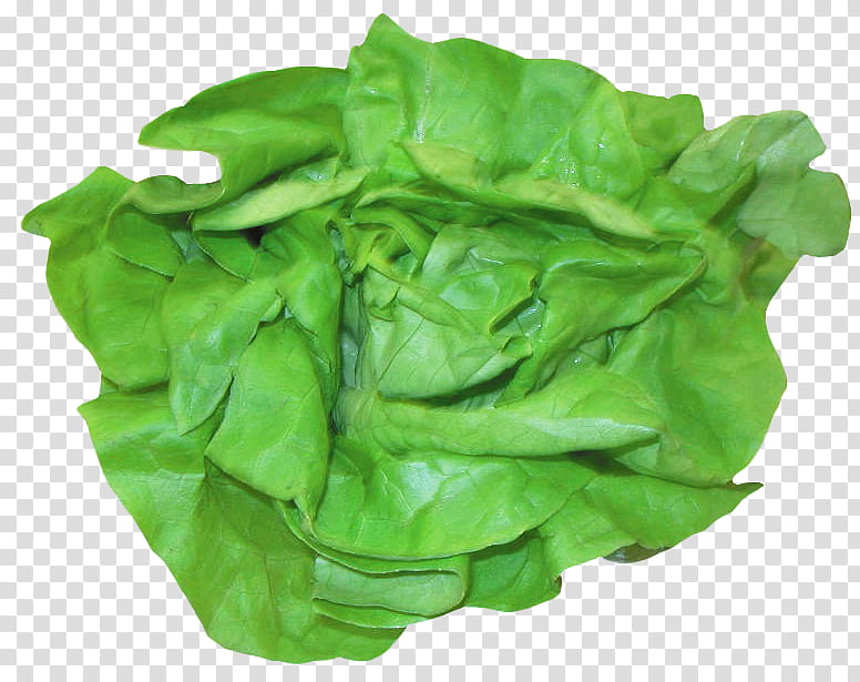 Green Leaf, Romaine Lettuce, Spinach, Chard, Lettuce Sandwich, Salad, Vegetable, Greens transparent background PNG clipart