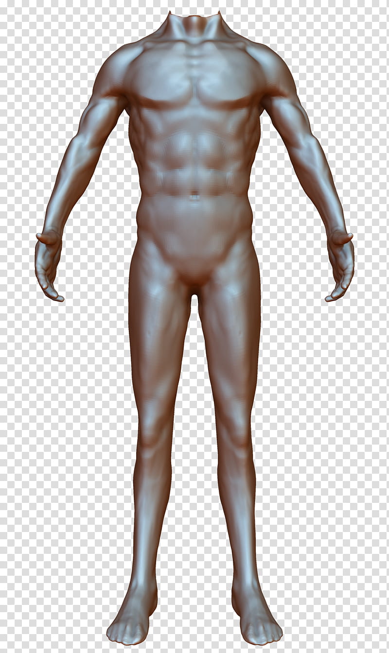 Zbrush Anatomy Study transparent background PNG clipart