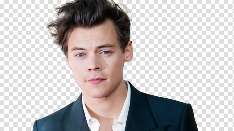 Rock, Harry Styles, Singer, One Direction, Harry Styles Live On Tour, 2018, Actor, Rock Roll Hall Of Fame transparent background PNG clipart
