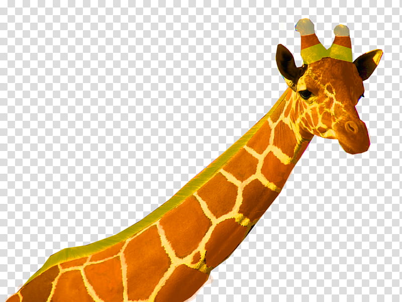Tv, Video, Video Games, Drawing, Masai Giraffe, Film, Television, Animal transparent background PNG clipart