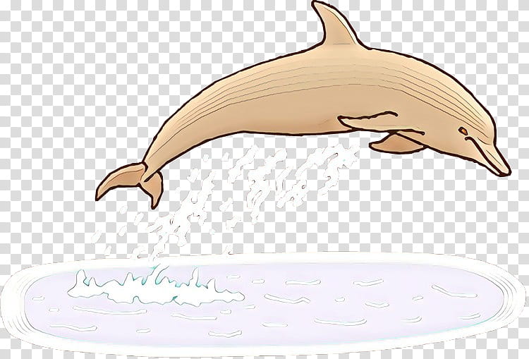Dolphin, Beak, Bottlenose Dolphin, Shortbeaked Common Dolphin, Cetacea, Common Dolphins, Spinner Dolphin, Striped Dolphin transparent background PNG clipart