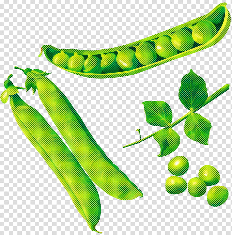 legume pea snow peas snap pea plant, Vegetable, Fruit, Food, Legume Family transparent background PNG clipart